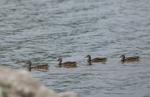 072623-owh-new-weather-kc-0001.JPG