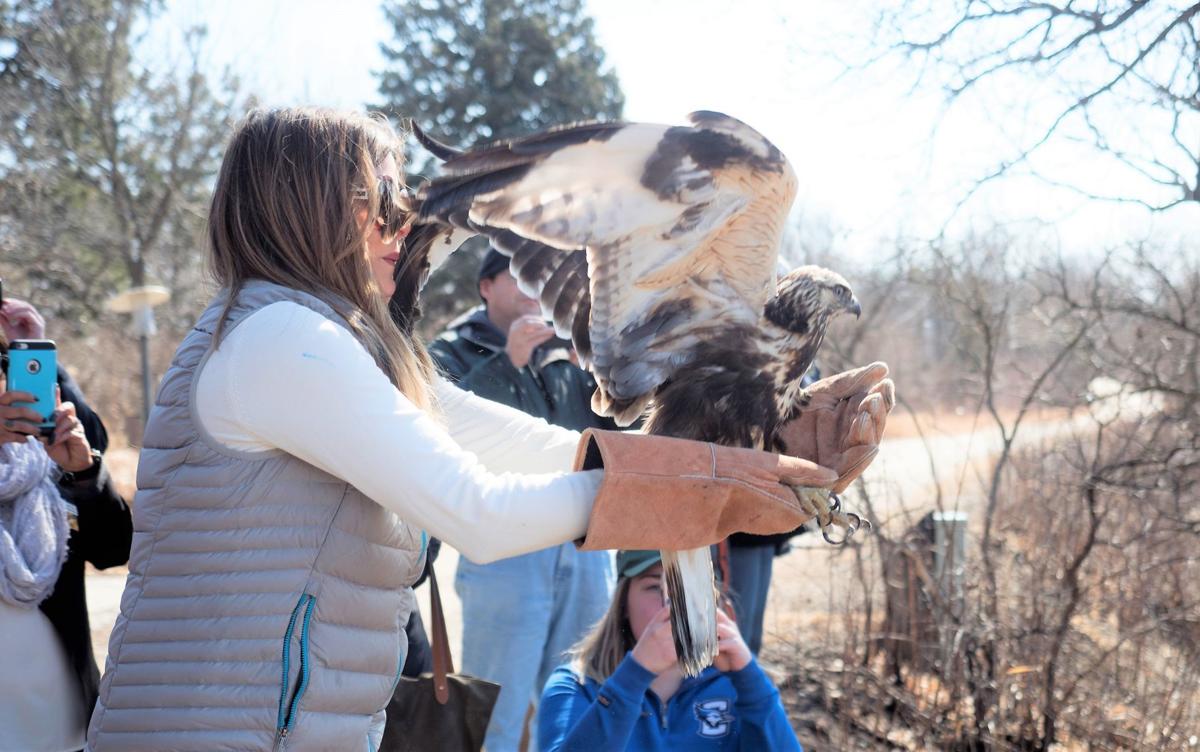 Raptor Recovery Center