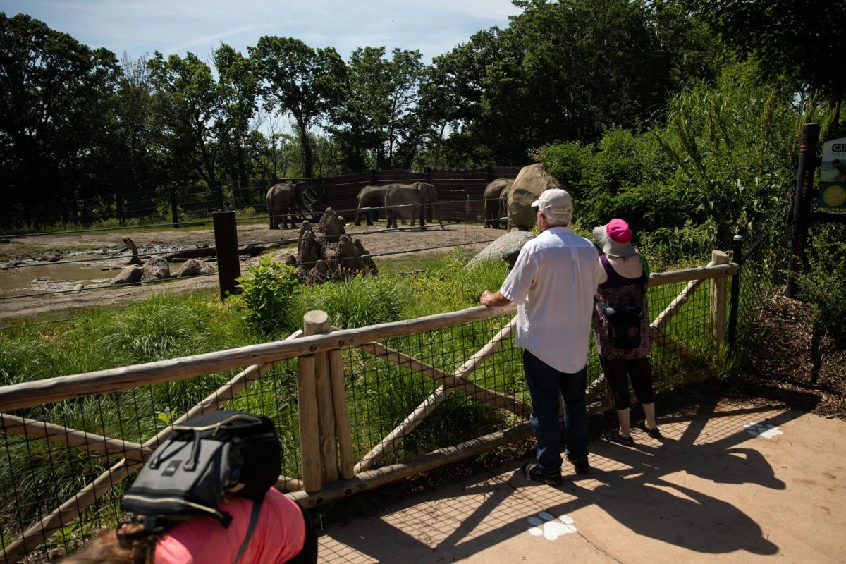 20200608_new_zoo_ar09