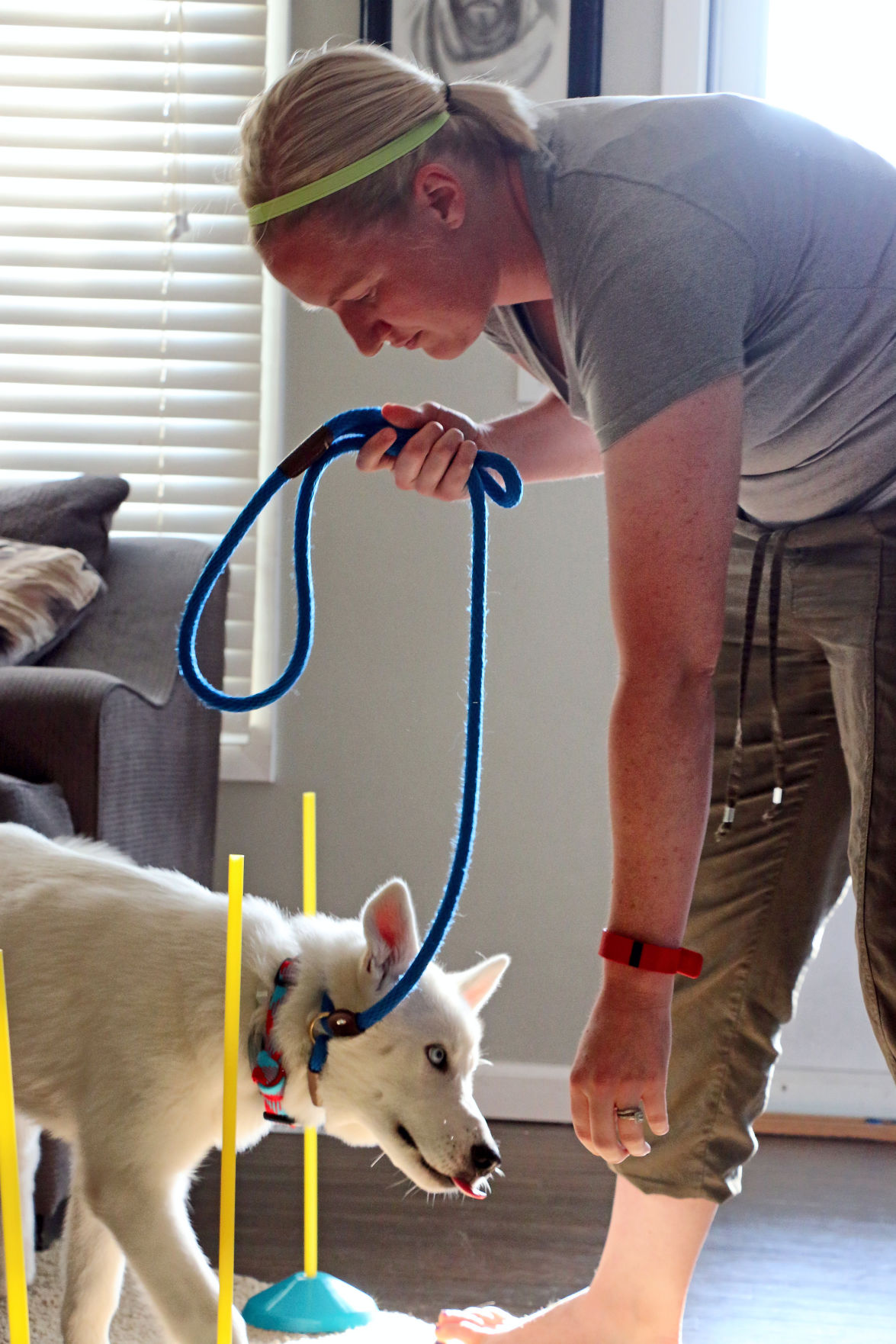 local dog behaviorist