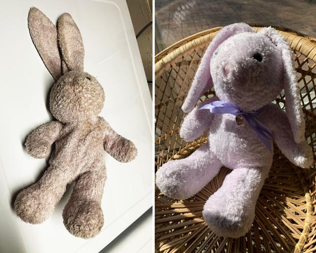Bunny before and after