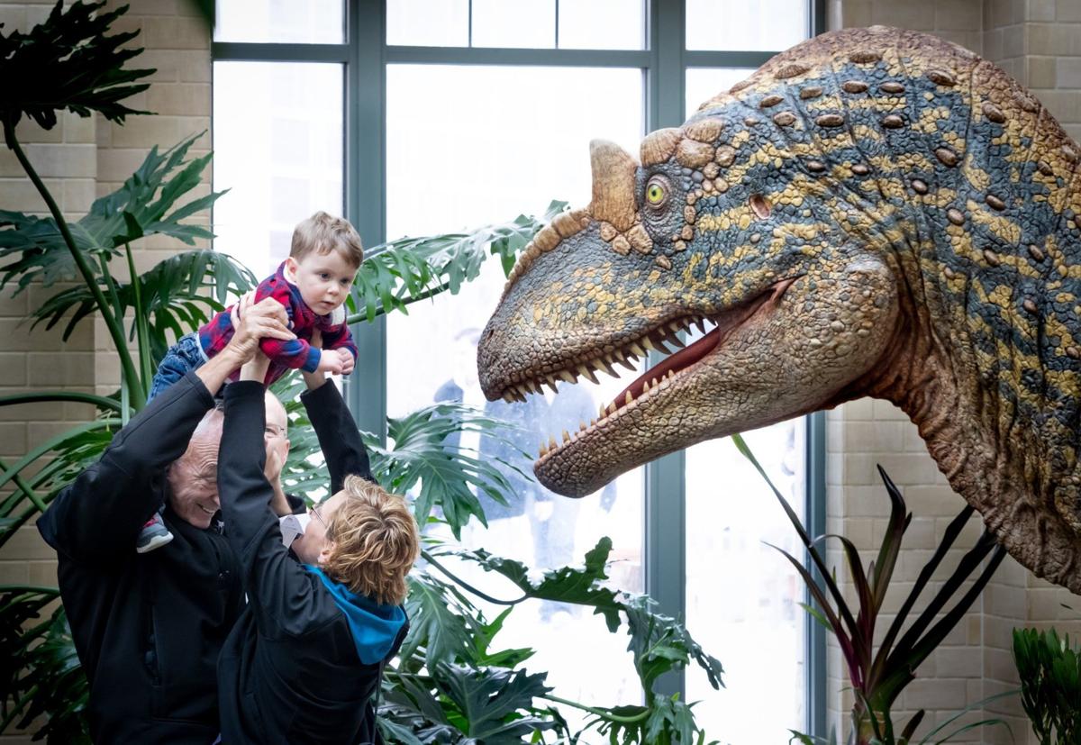 Prehistoric Plants Bring Full Sized Dinosaurs To Life At - 