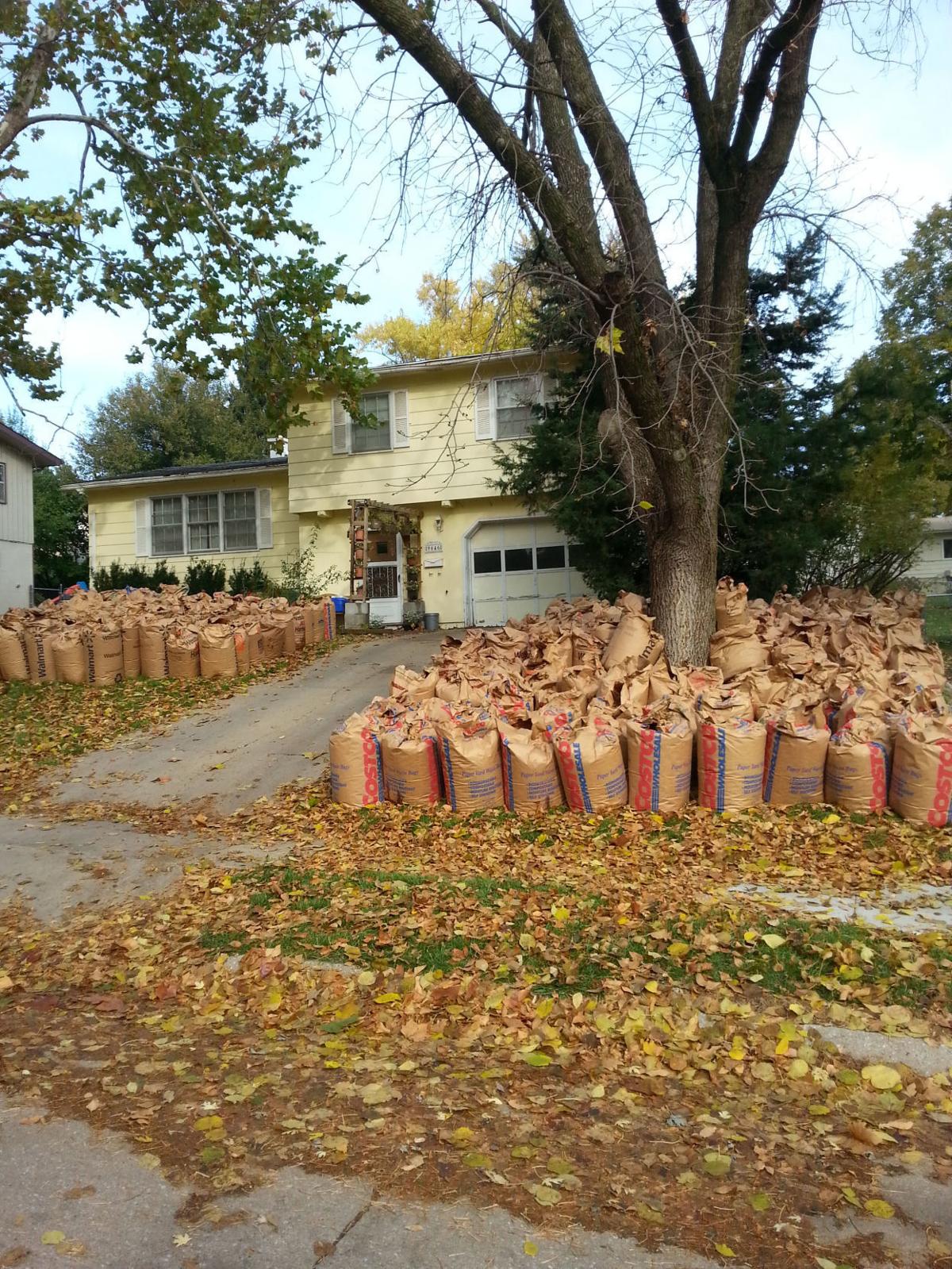 Separate yard waste collection to begin Monday in eastern Omaha | Omaha Metro | omaha.com