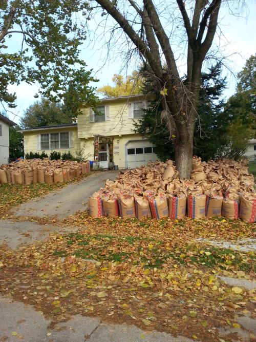 Separate Yard Waste Collection To Begin Monday In Eastern Omaha Local News Omaha Com