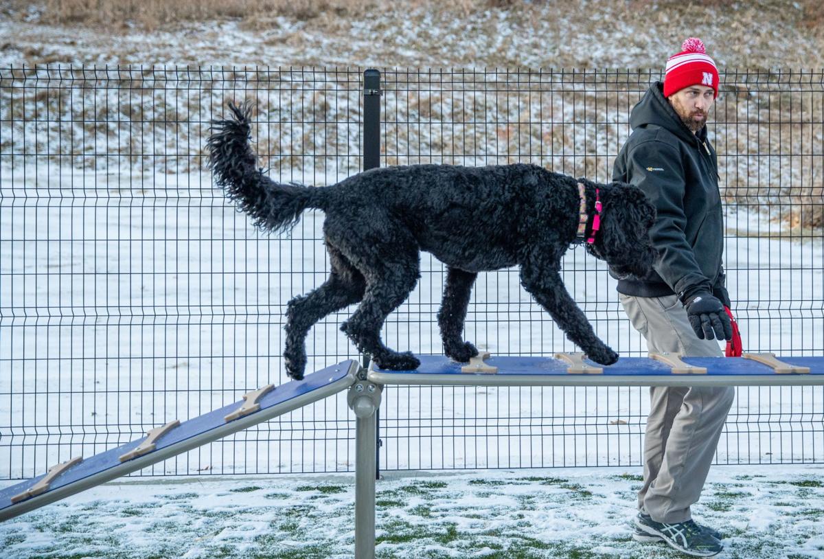 'Good for dogs and people' Omaha's newest dog park opens in midtown