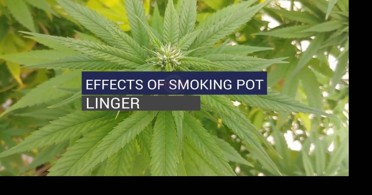 Effects of smoking pot linger