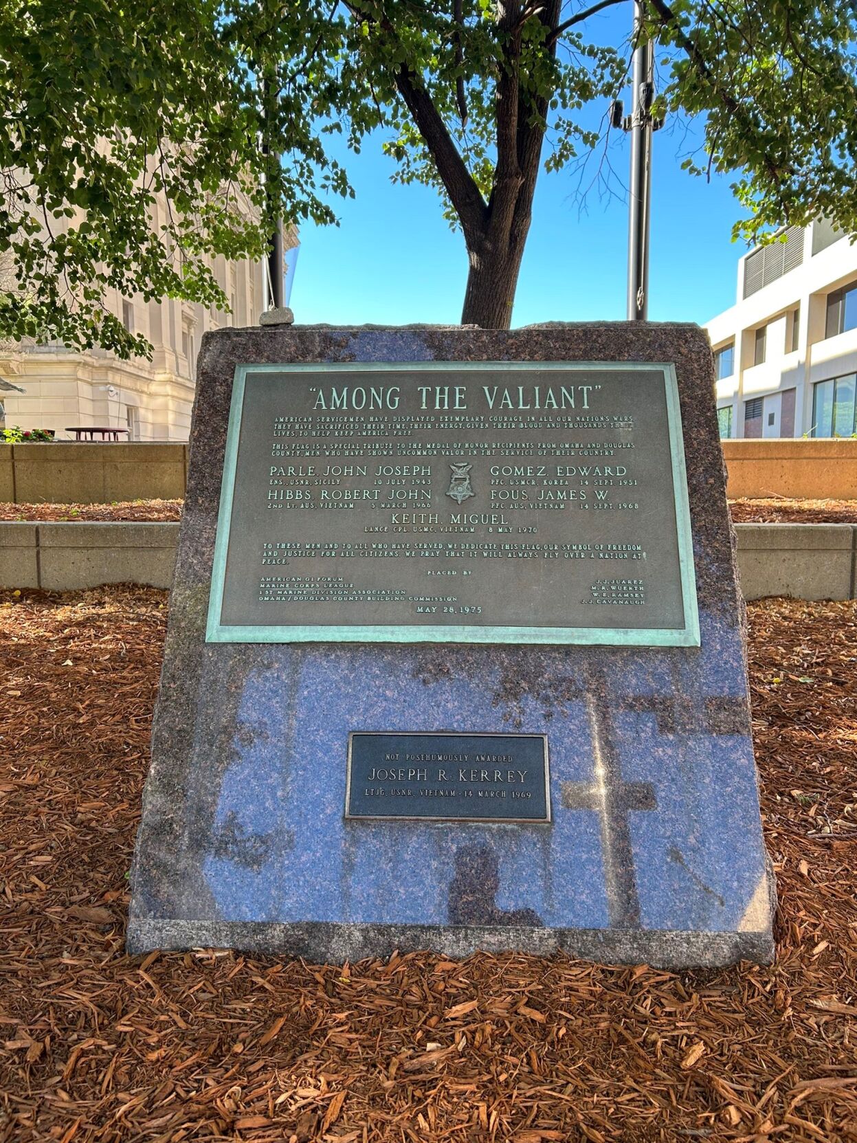 Among the Valiant