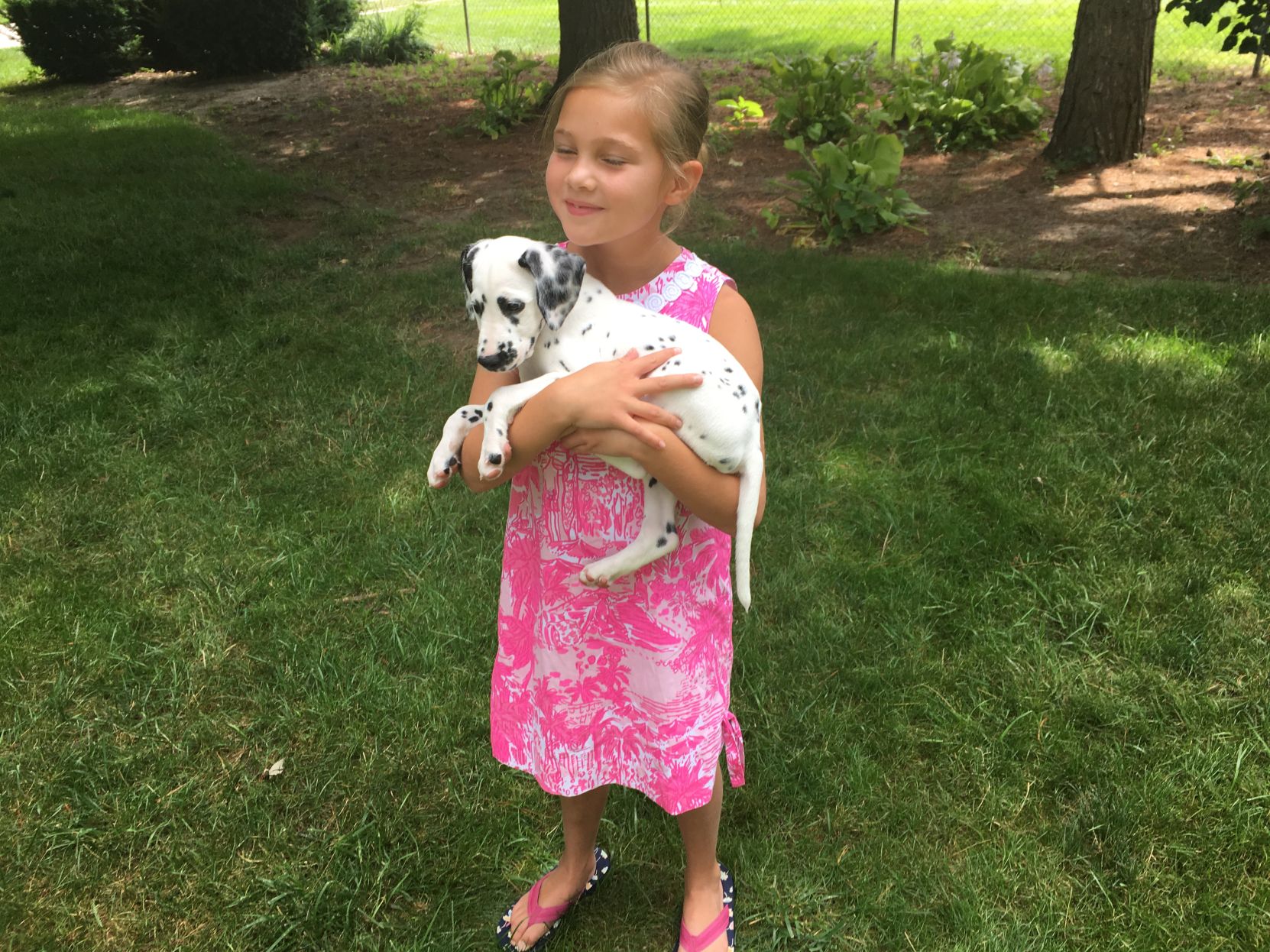 letting puppy sleep in bed