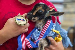 Seward’s Fourth of July, 7.4