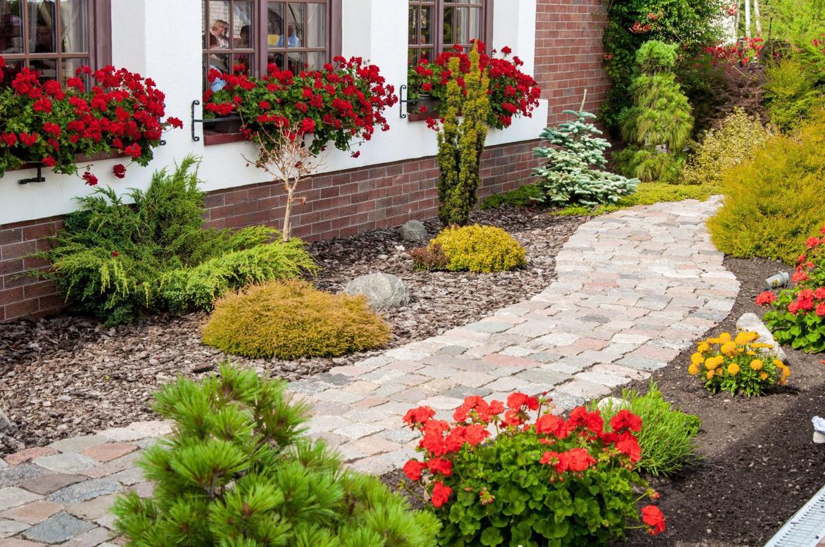 Hardy plants are the best defense against changing weather