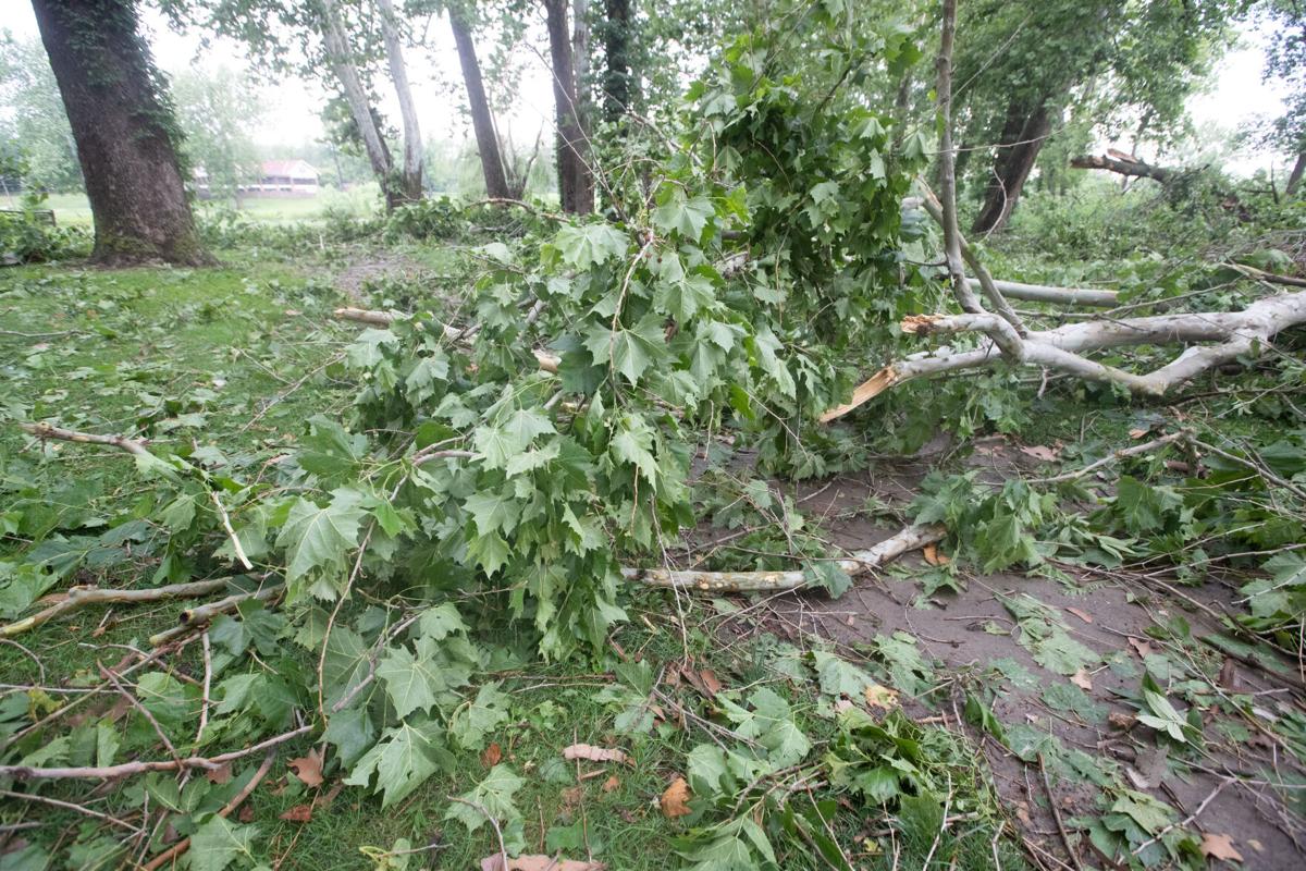 City Of Omaha Says Crews Will Pick Up Large Tree Debris At Curb Local News Omaha Com