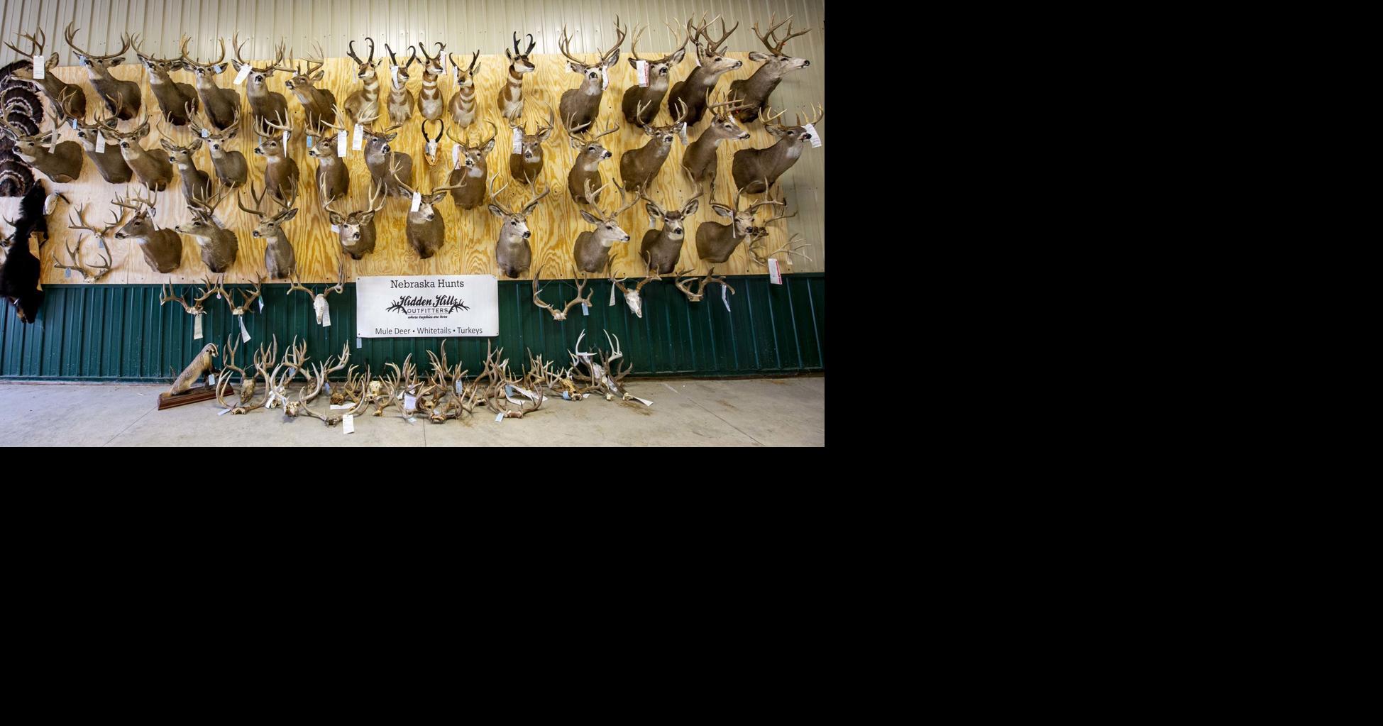 Broken Bow outfitter sentenced to probation in major Nebraska poaching case