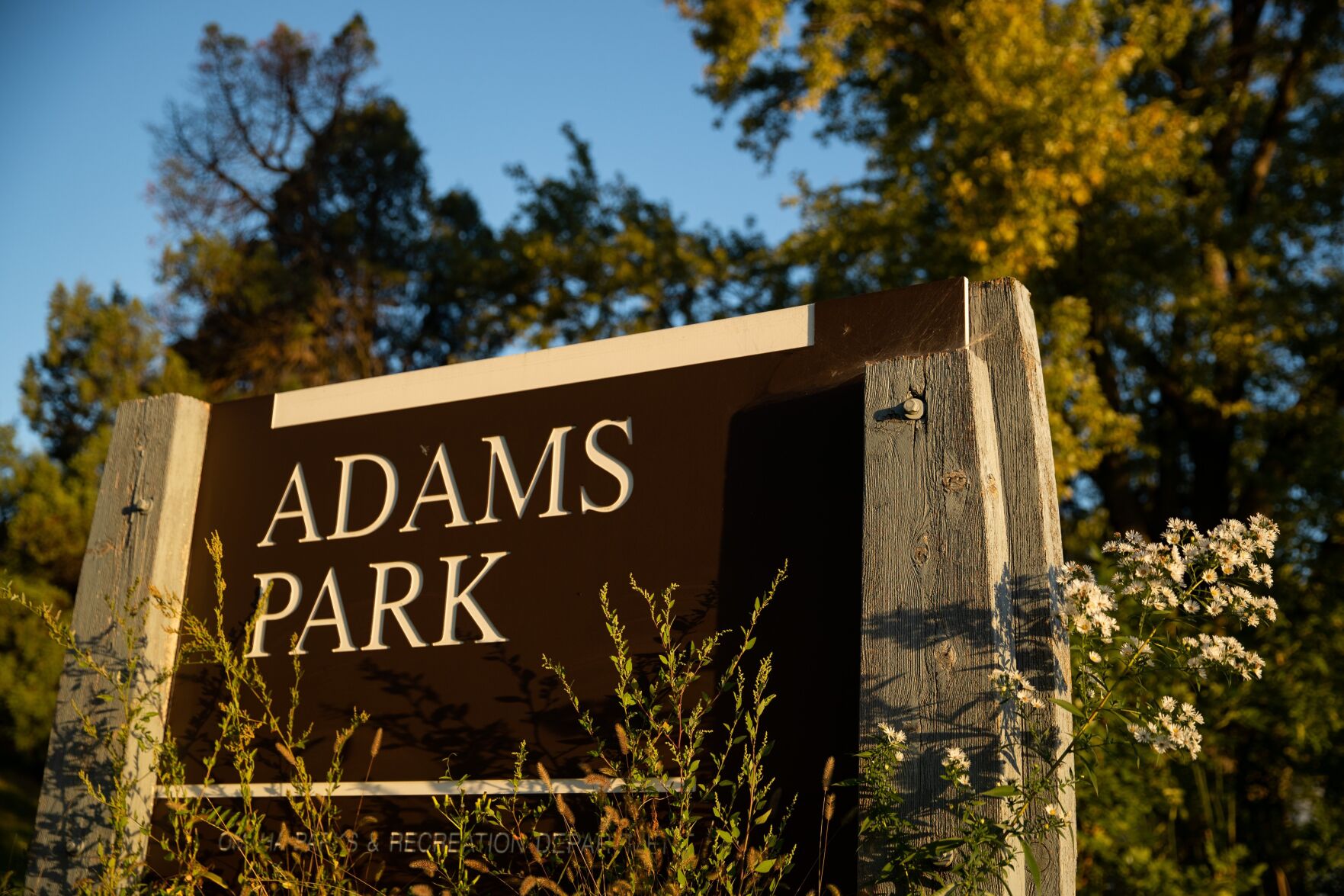 Storm damage emerald ash borer add urgency for group hoping to