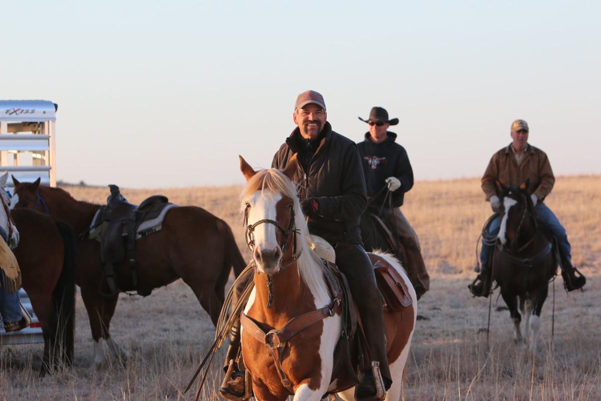 Nebraska Brand Book For Sale / Nebraska Brand Book Ebay Colleen o