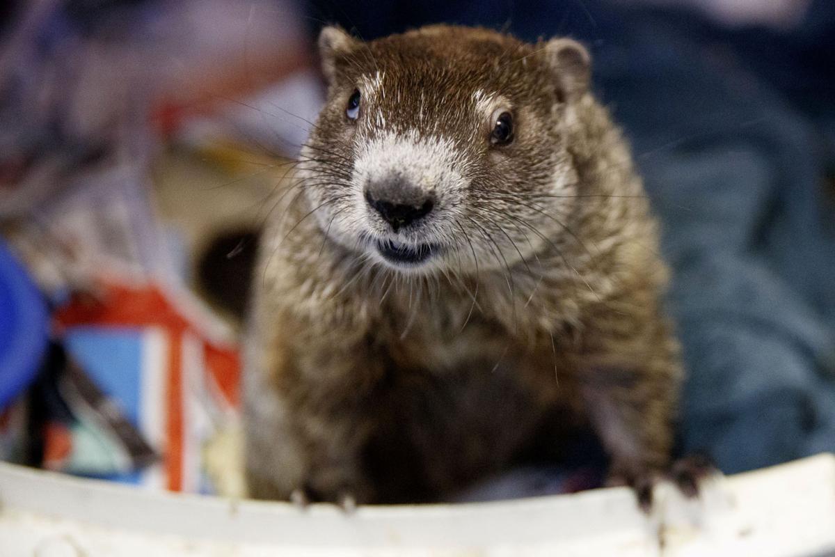 Nebraska Wildlife Rehab asks for help from public after air conditioner