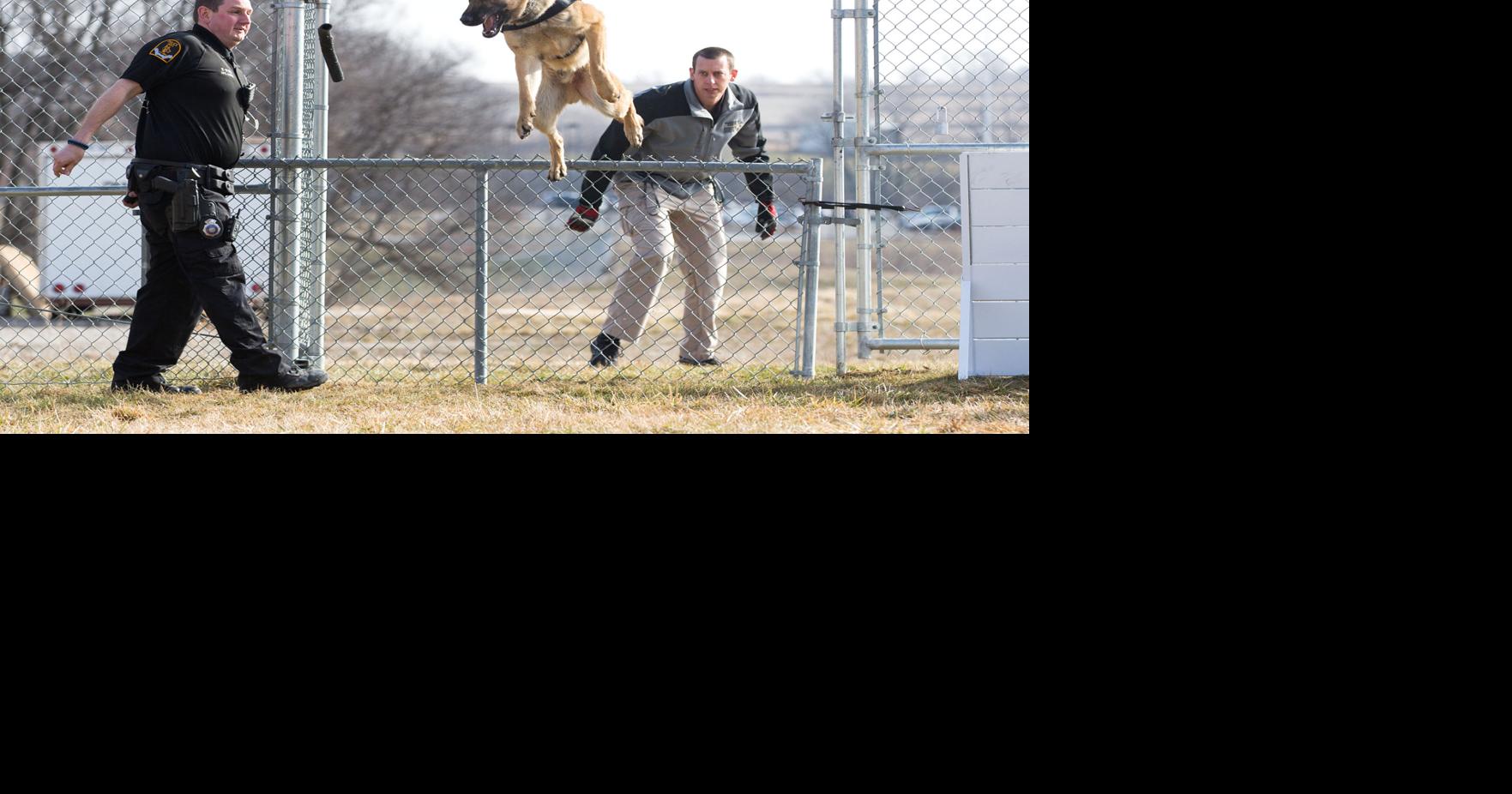 K9 Officer Bruno gets bulletproof protective vest