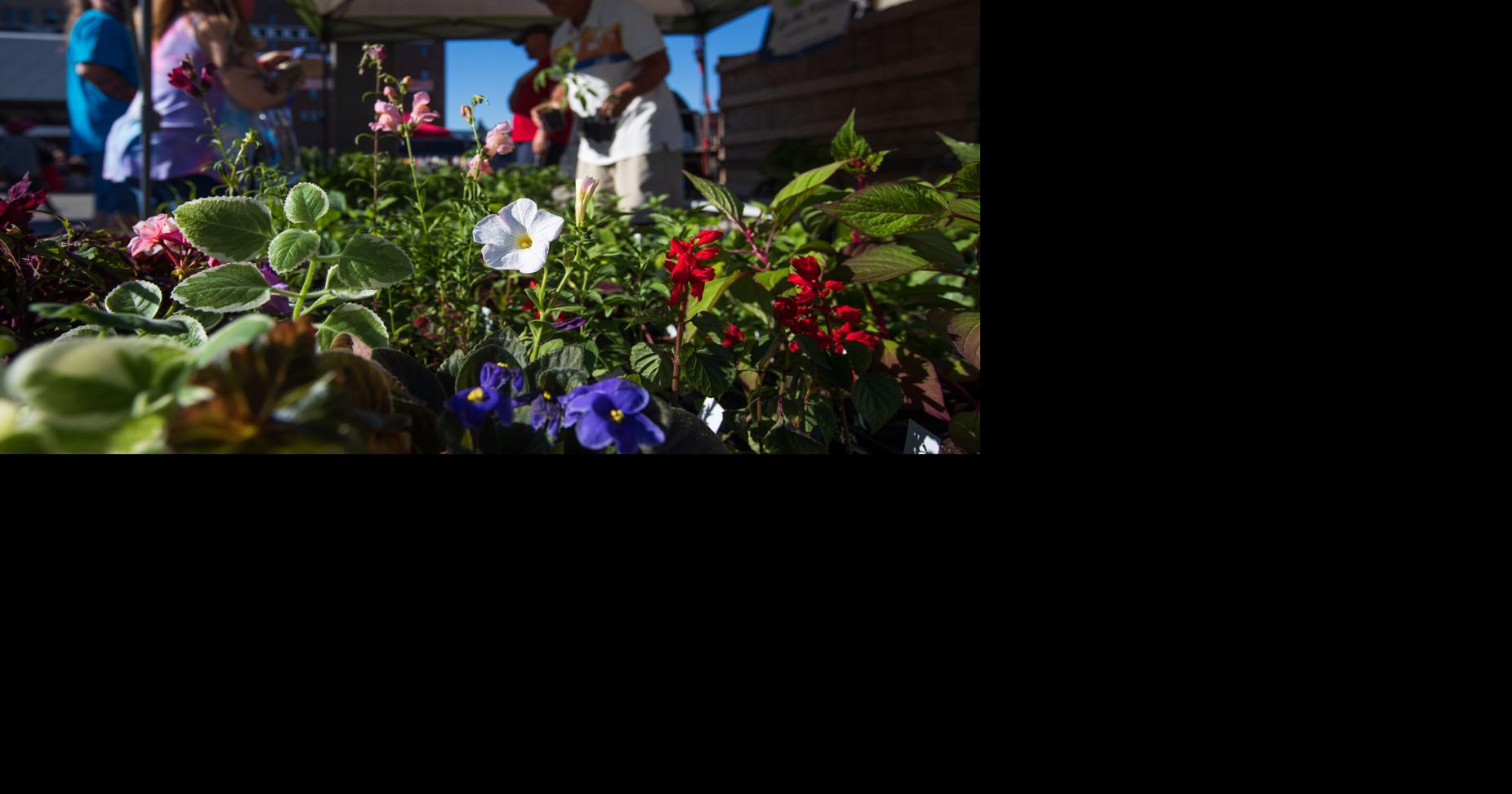 Photos Omaha Farmers Market returns to downtown