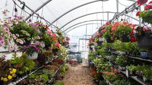050826-owh-new-gardenseason-cm-06.JPG