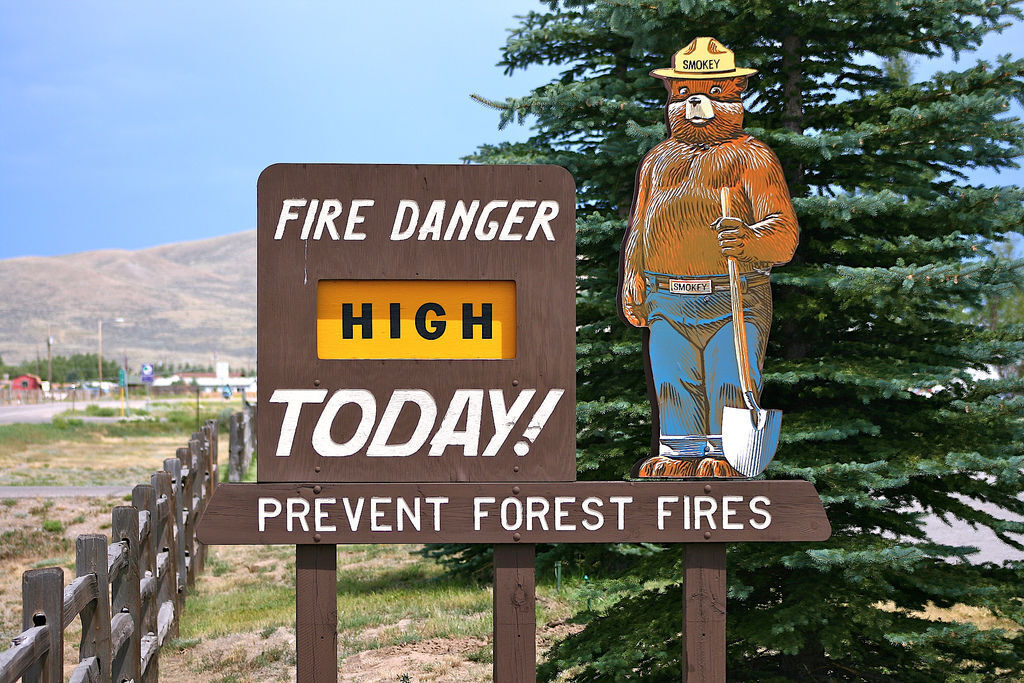 US Resumes Setting Intentional Fires In National Forests After Review   631a5f5e31045.preview 