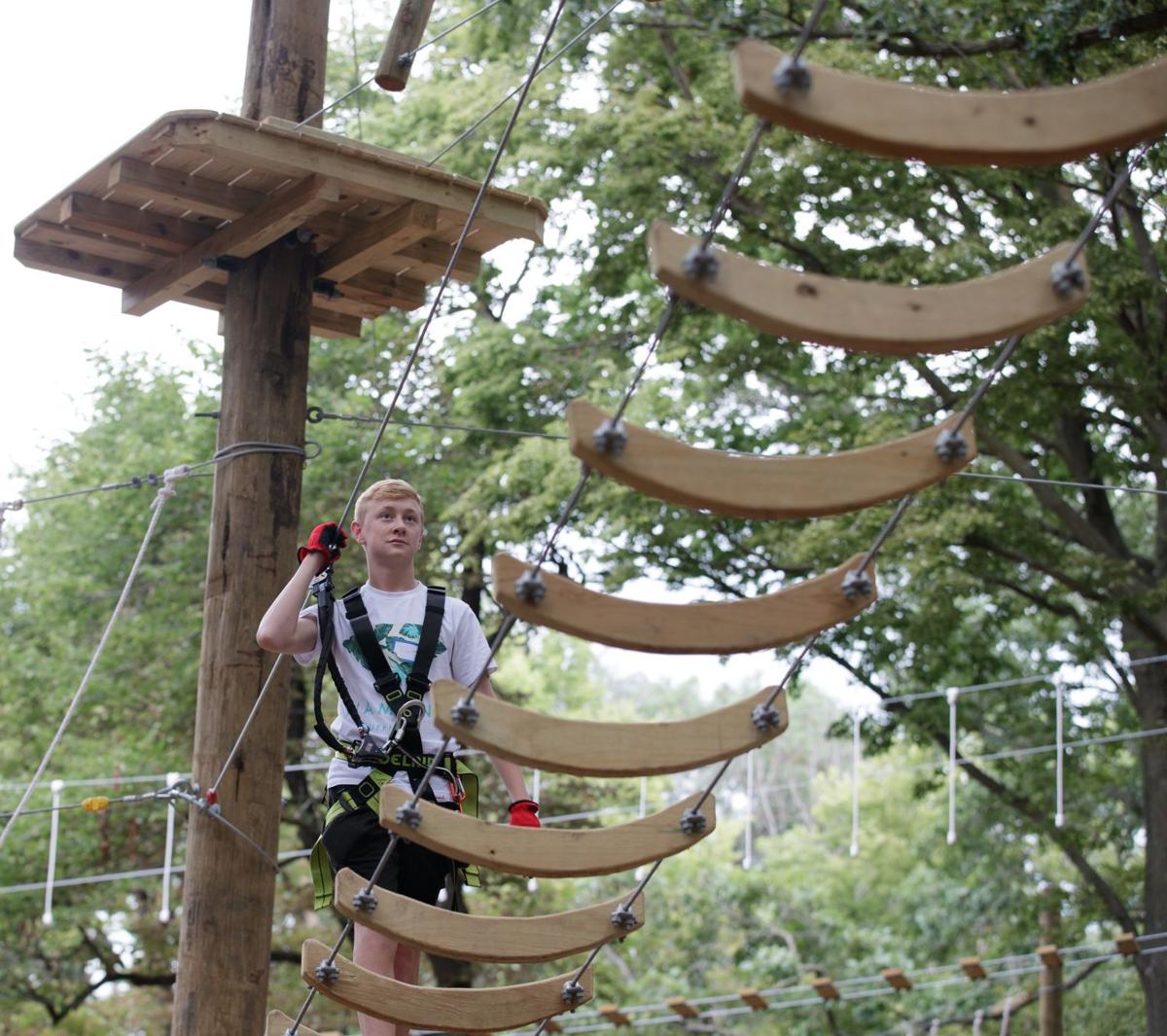 An inside look at Fontenelle Forest's 5acre, 1.6 million aerial