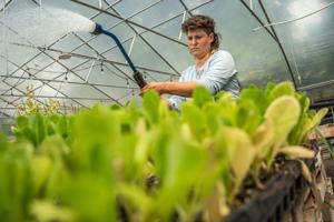 For small farmers, business is booming amid cyclospora outbreak