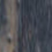 Movie Review Director S Creativity Keeps Noah S Ark Afloat Go Omaha Com