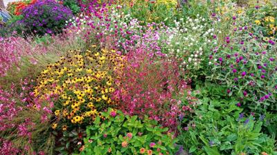 Papillion 150 dedicates Butterfly Garden