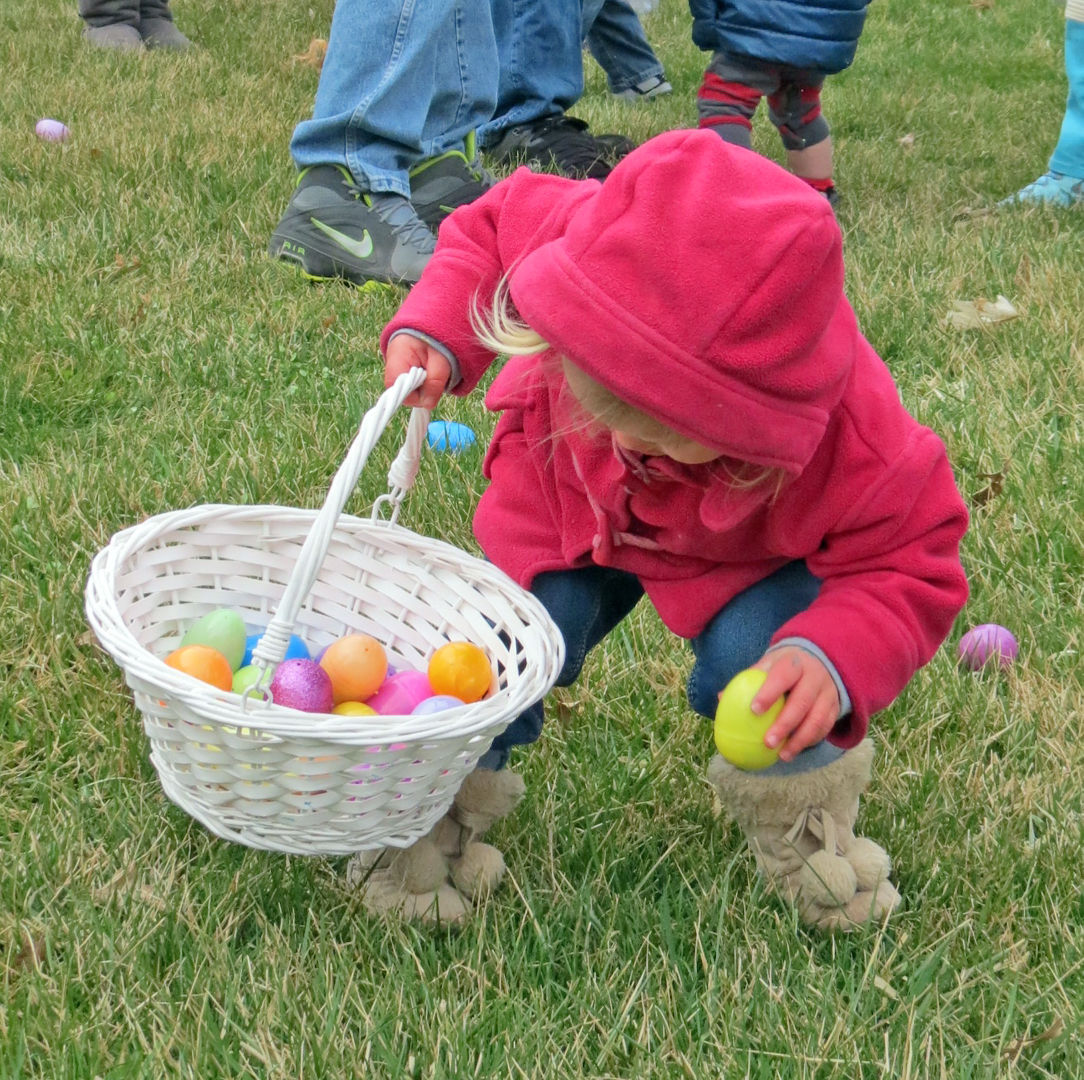 Got eggs