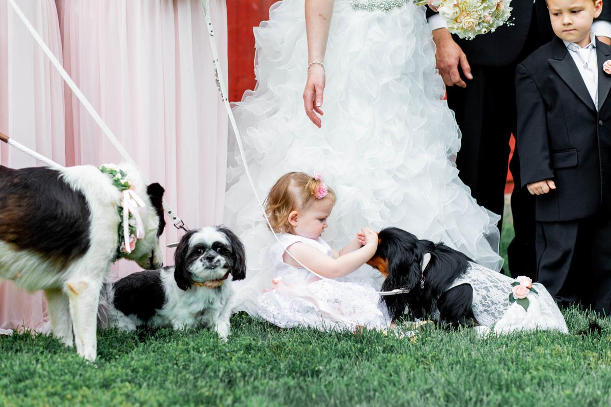 2018_MalloryDaneis_Pets_HOFFMAN-2628.jpg