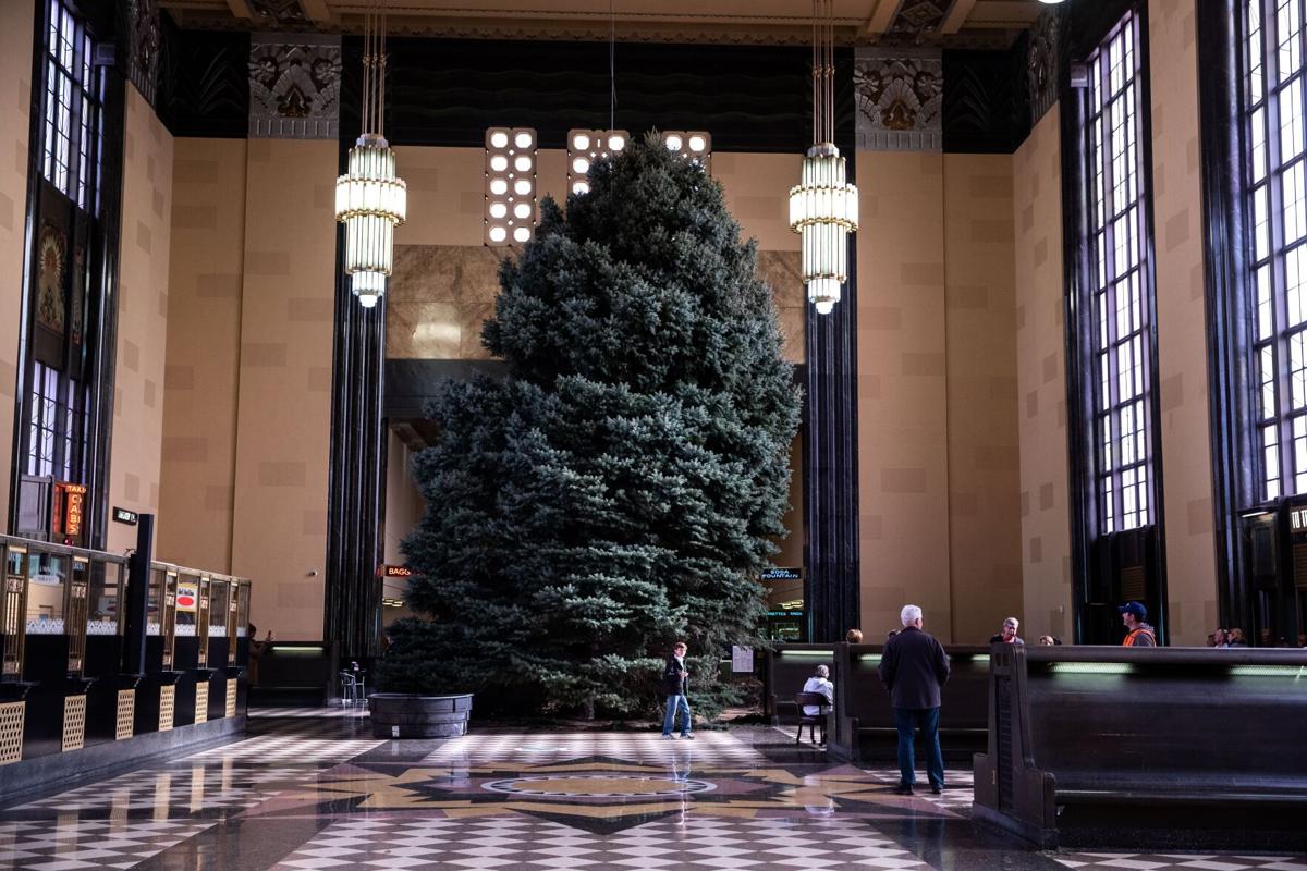 Durham Tree