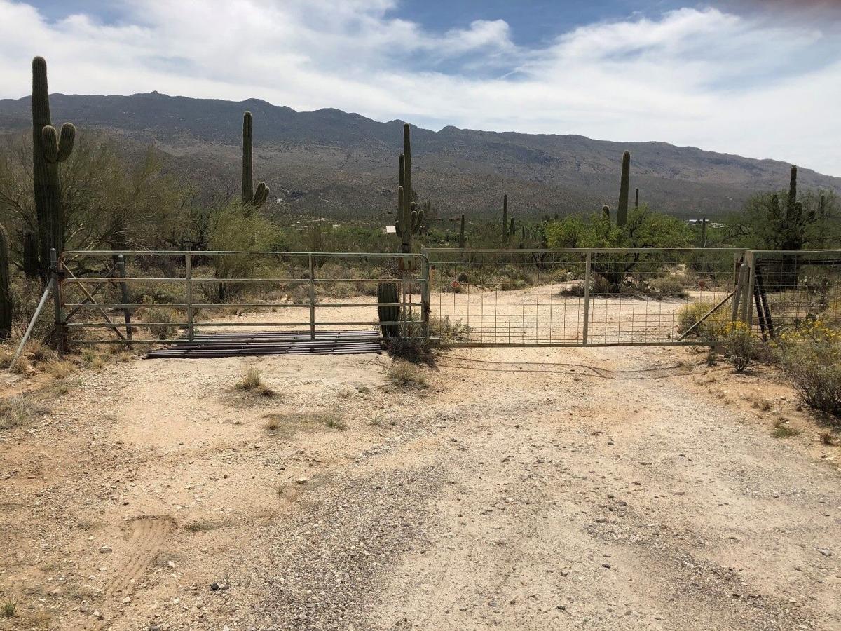 Gate.jpg