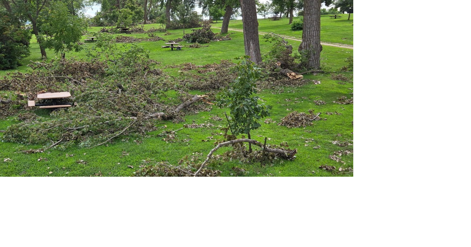 ‘Tremendous tree damage’ at Nebraska recreation areas could take year to clean up