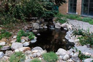 090326-owh-new-pond-nf-01.JPG