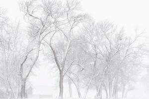 20180123_new_weather_picsh18
