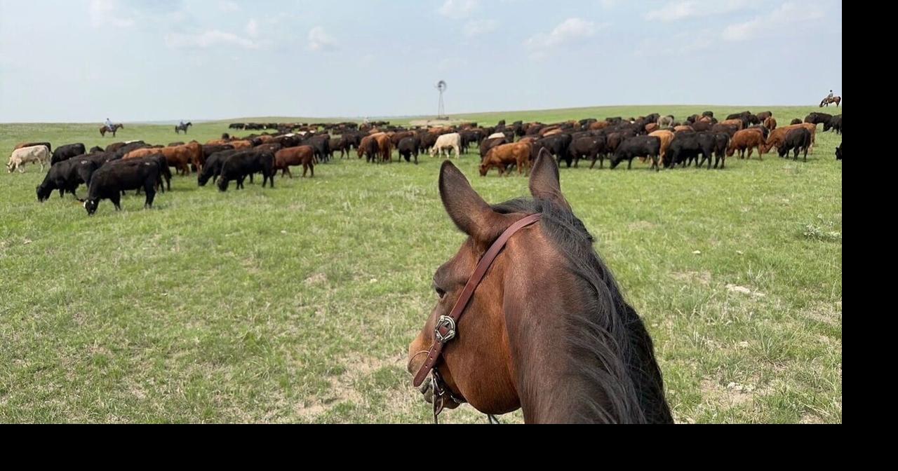 Nebraska Sandhills ranch draws record sale price, shifts to Texas insurance billionaire couple