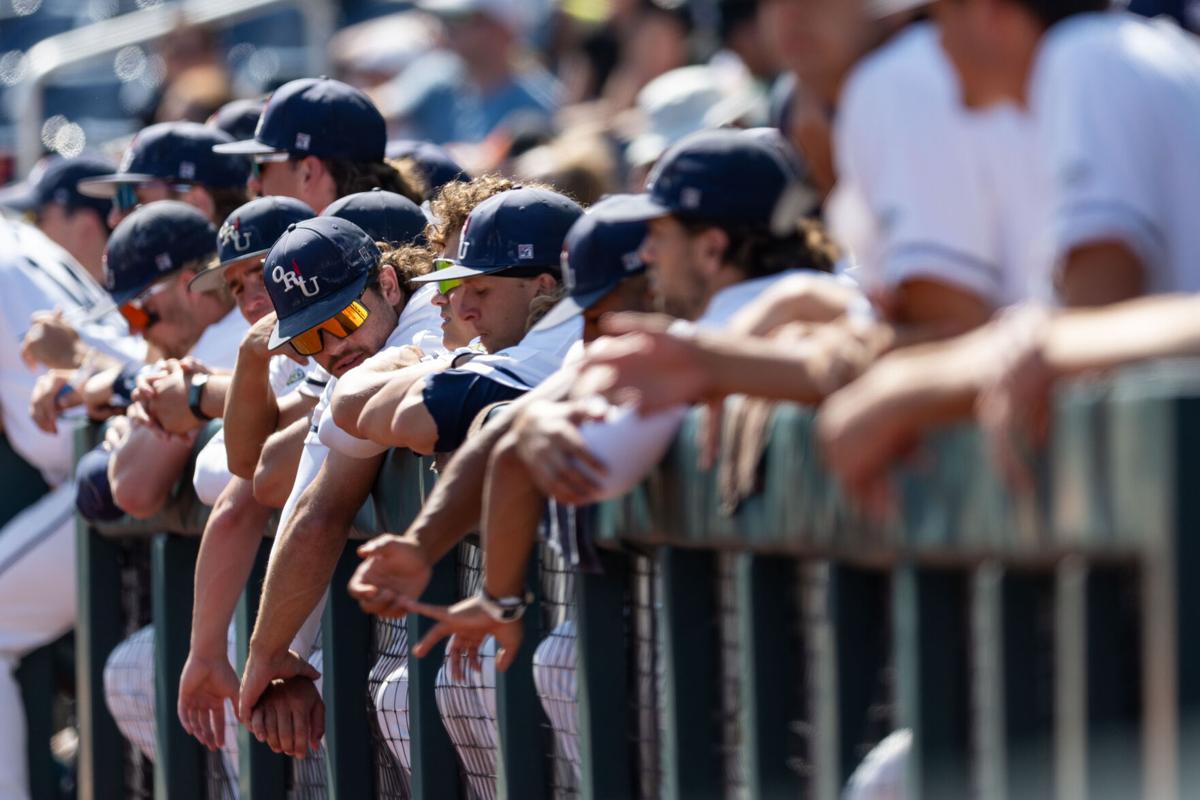 Yankees fans cheer on bottle flip challenge girl video