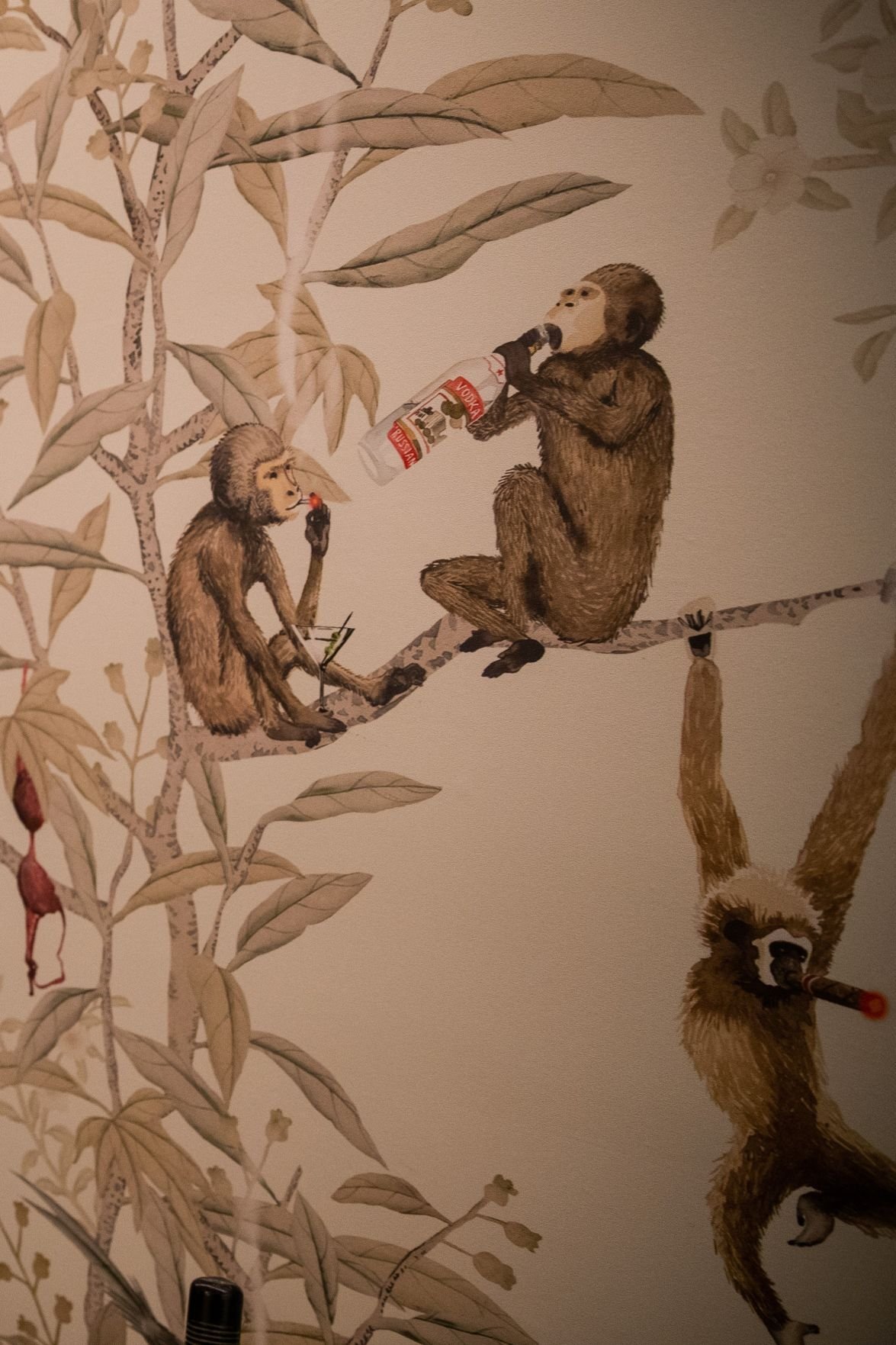 Spider Monkey Monkeys Before Dawn  The Pattern Collective