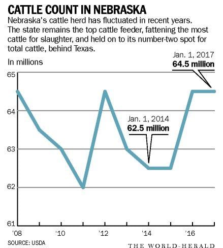 More Cattle Lower Prices Articles Omaha Com