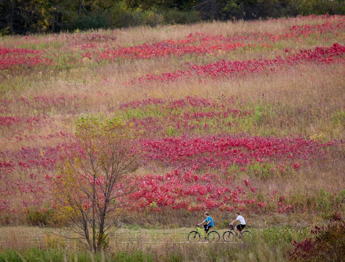 Camping World Council Bluffs >> Recreation + Camping Areas | Special Sections | omaha.com Camping World Council Bluffs >> Recreation + Camping Areas | Special Sections | omaha.com