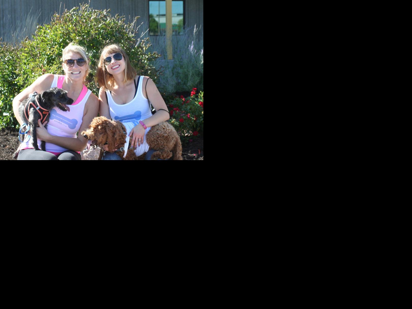 Omaha.dog lists caninefriendly businesses Living