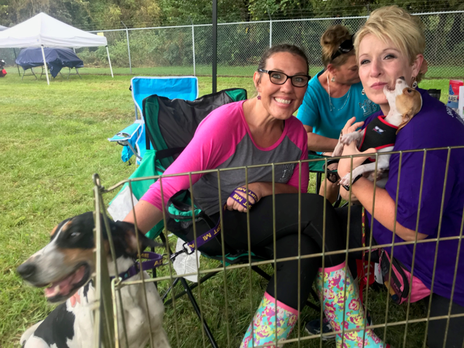 Raining cats clearance and dogs rescue
