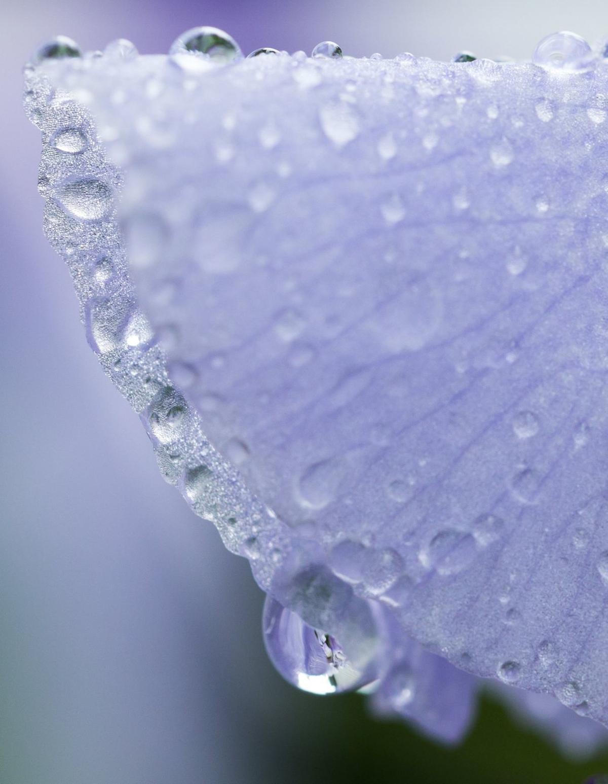 20180419_new_art_041