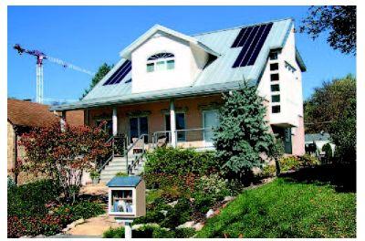Rainwater nourishes drought resistant plants