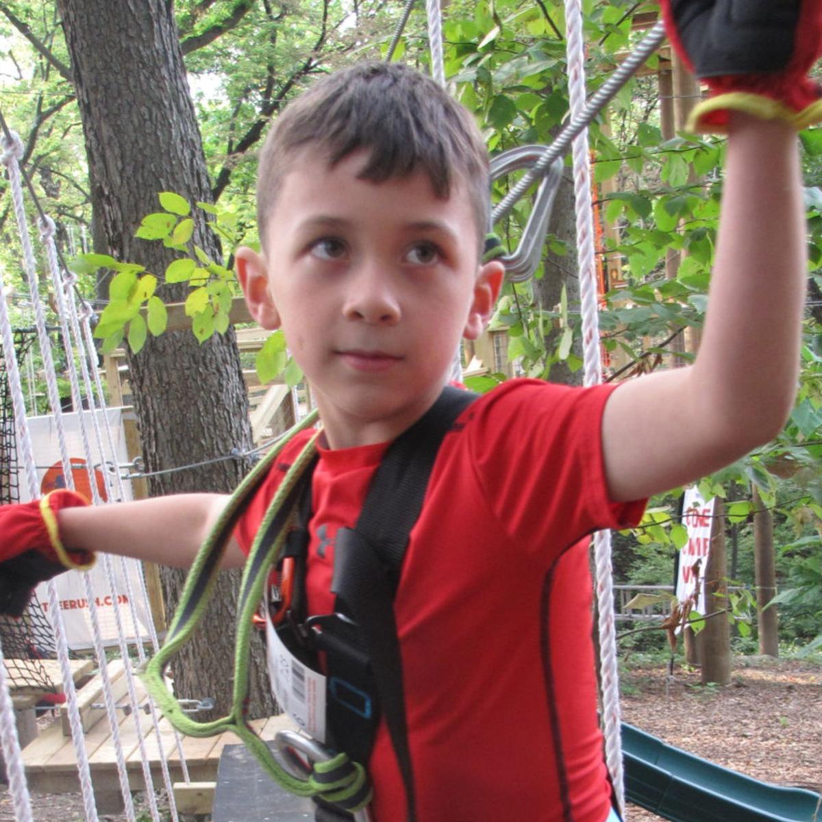 Zip Climb Walk Quest For Fun Never Lets Up At Forest Oasis In