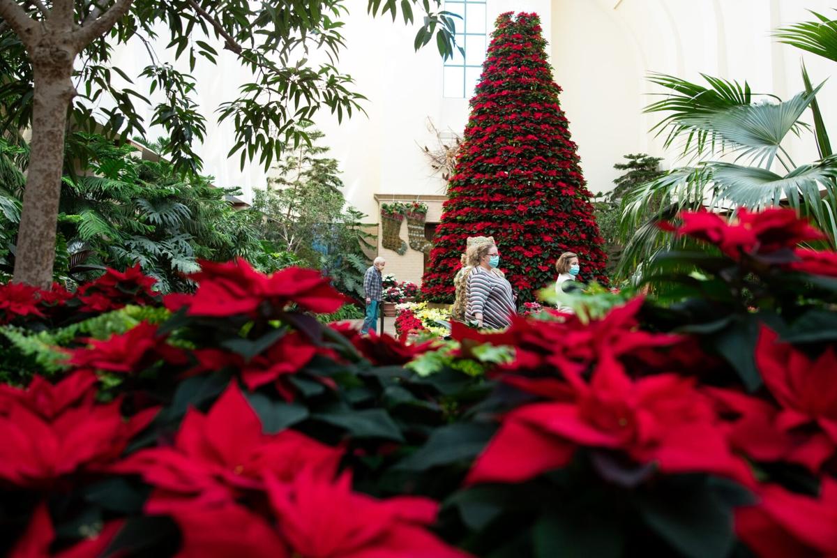 Omaha Christmas Events 2022 Experience The Season With These 25+ Family-Friendly Holiday Events |  Momaha | Omaha.com