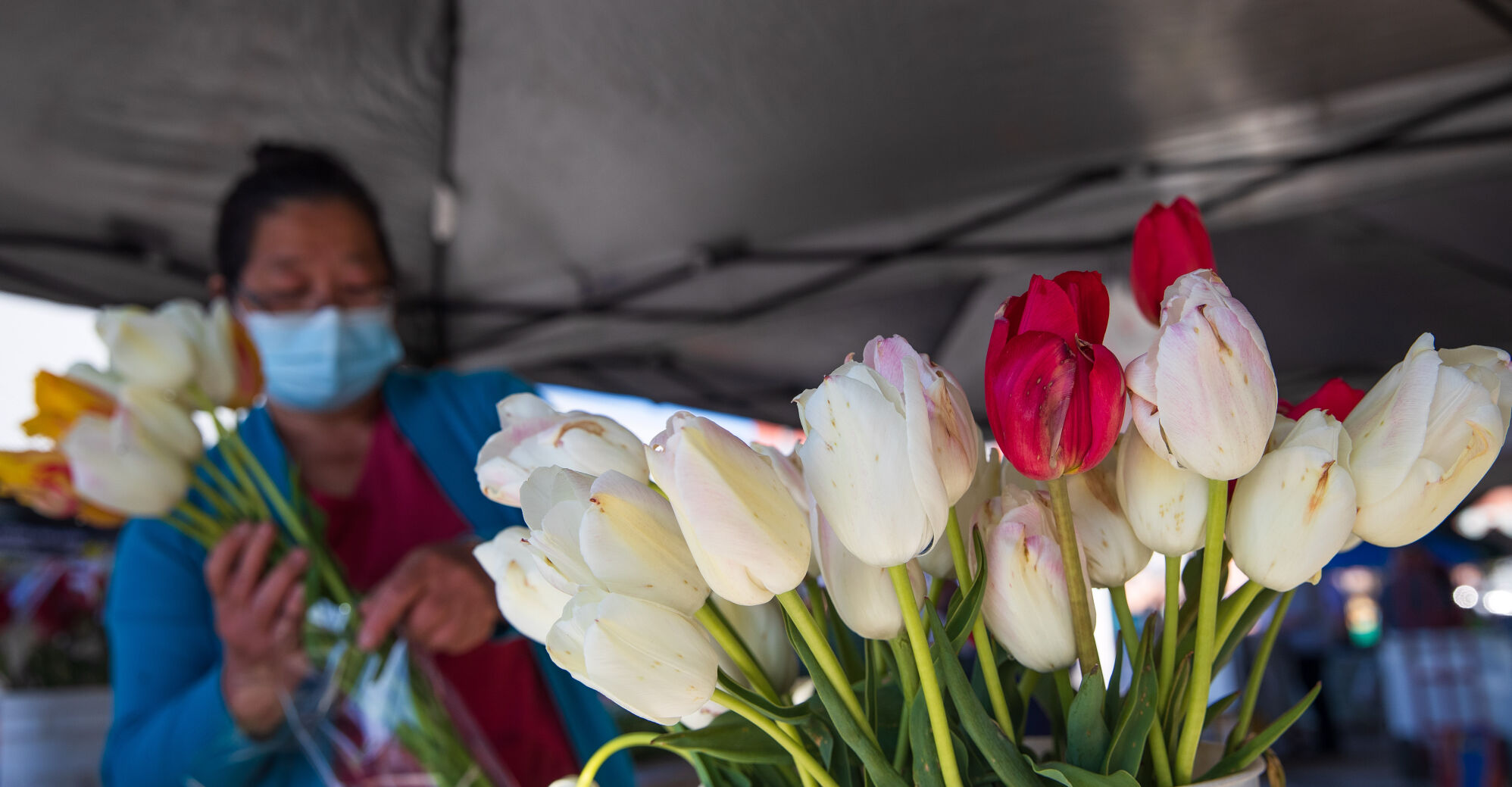 Photos Omaha Farmers Market returns to downtown