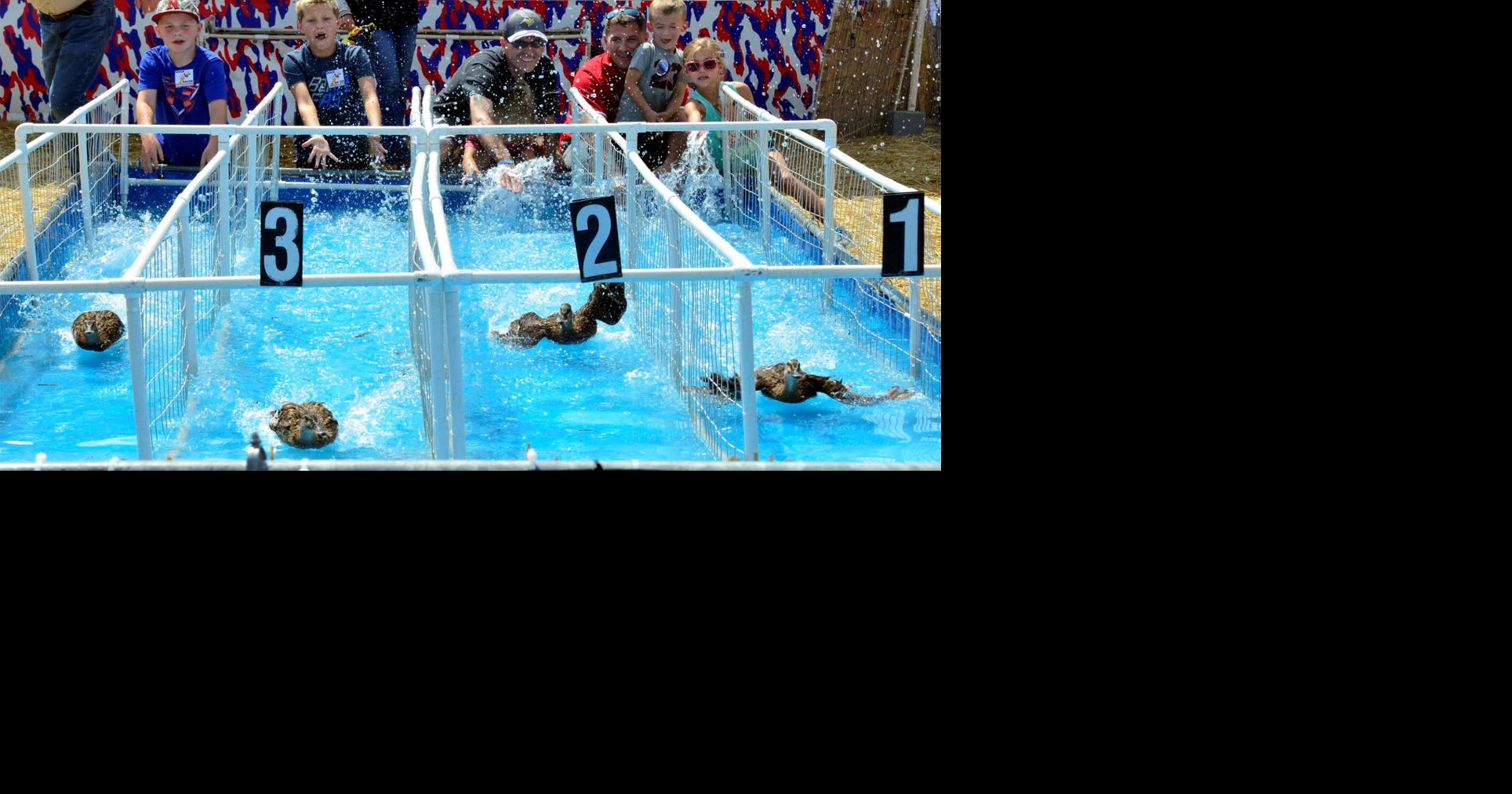 Duck races make a splash in their first year as an attraction at the ...