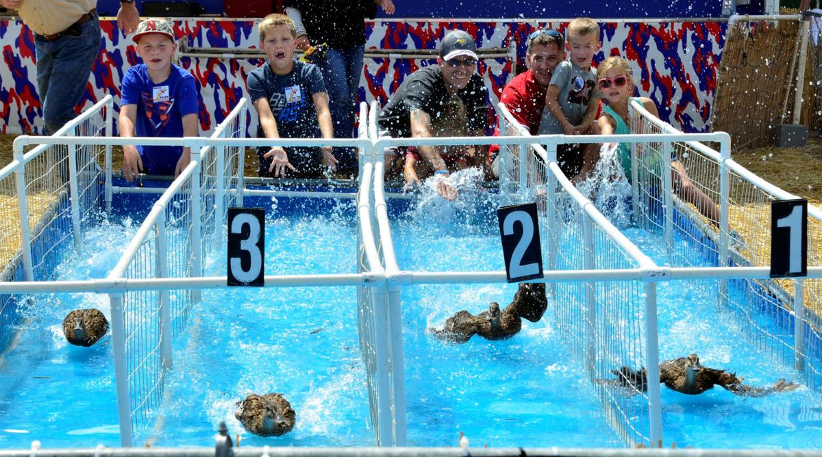 Duck races make a splash in their first year as an attraction at the