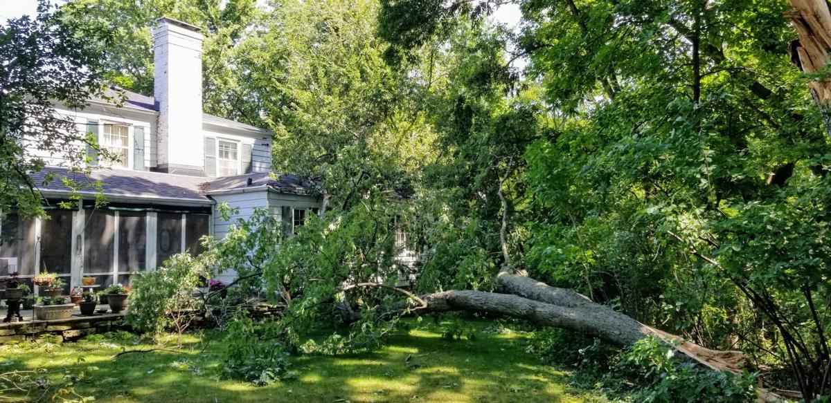 No Sticker Needed For Yard Waste In Bettendorf & Davenport, Iowa