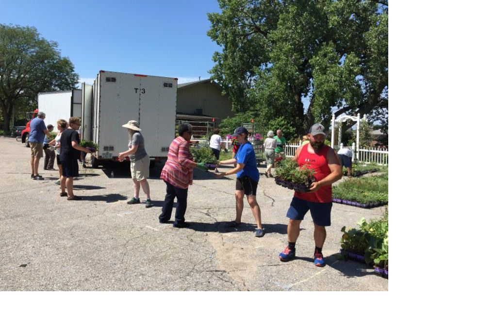 Benson Plant Rescue is giving away flowers to teachers, military